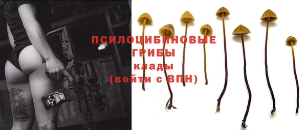 крисы Белоозёрский