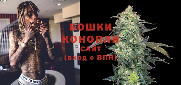 хмурый Аркадак
