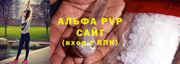 хмурый Аркадак