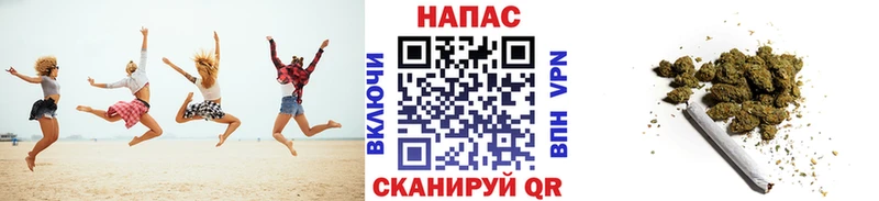 Бошки Шишки сатива  Купить где  Серафимович 